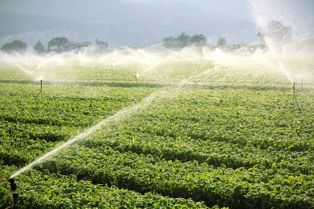 Standart Pompa tarımsal sulama alanında dünyanın tercihi olmayı sürdürüyor.